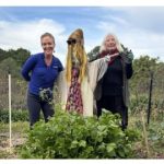 East Waste compost promotion Winners